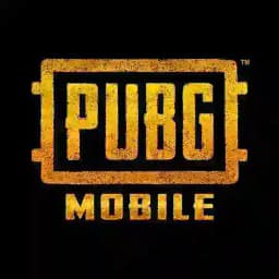 PUBG MOBİLE OYUNCU PLATFORMU Profile