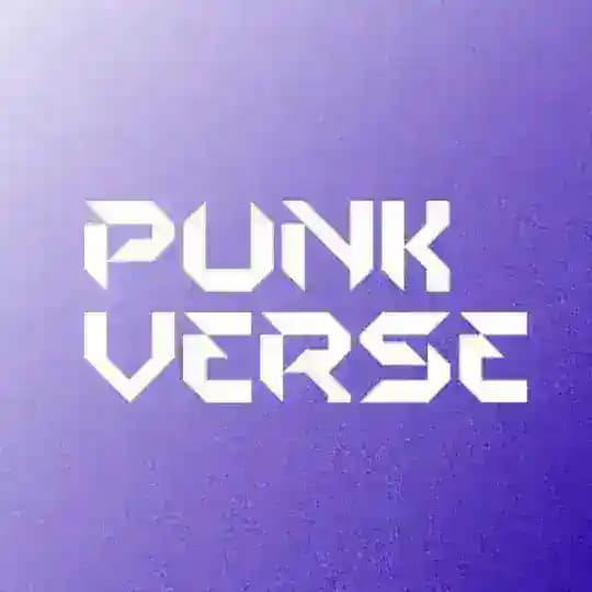 PunkVerse- Global Group Profile