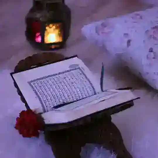 Qᴜʀᴀ'ɴ🌙 Profile