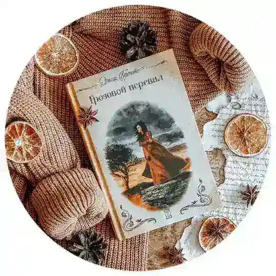 Читать не скучно ❤️ - чат Profile