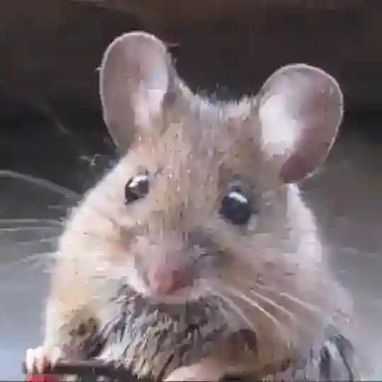 Referans Değişim Profile