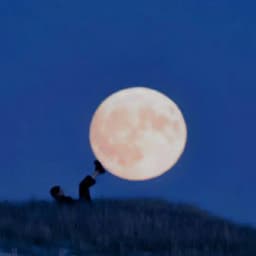 ʀᴇᴋʟᴀᴍ ᴍᴇᴋᴀɴ Profile