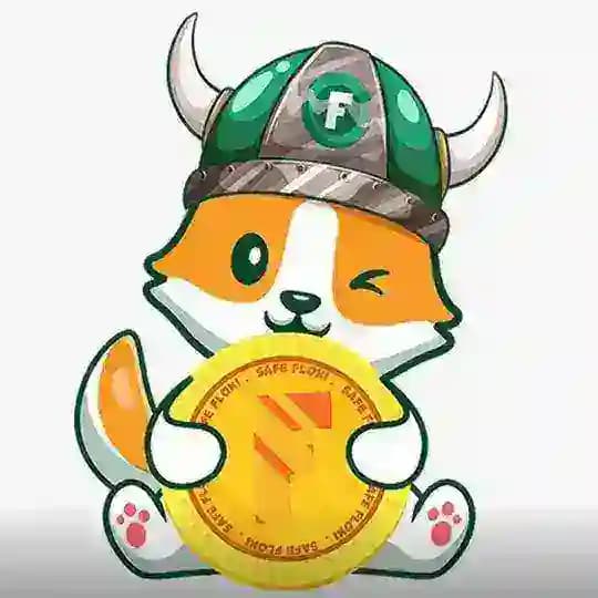 SafeFloki Official Profile