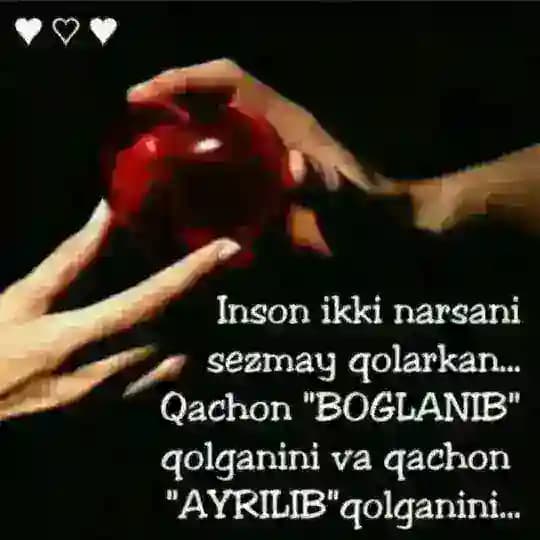 👊༼🔥TaNisHuVོཾChaT🔥༽👊 Profile