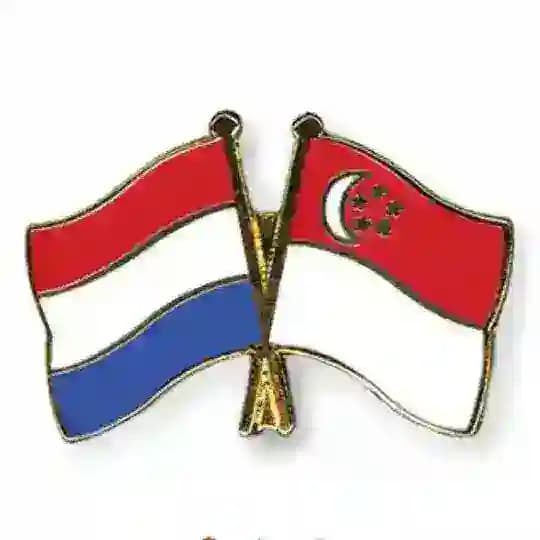 SG - Netherlands Travels Profile