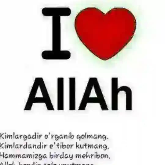 🎵Zakas MP3🎵 Profile