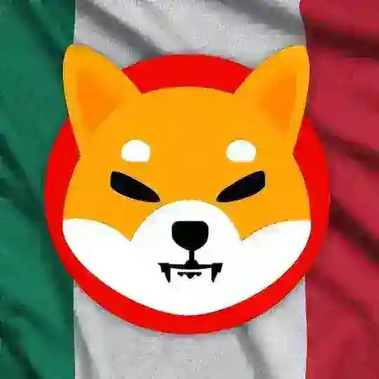 Shiba Inu México🇲🇽 Profile