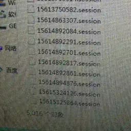 飞机号，协议号 session号 Profile