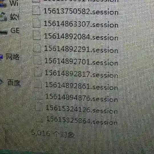 飞机号，协议号 session号 Profile