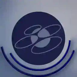 Skolkovo services Profile