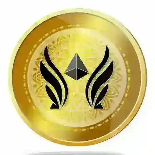 SkyX Pakistani Community Profile