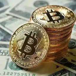 Smart contract Bainary Investment Profile