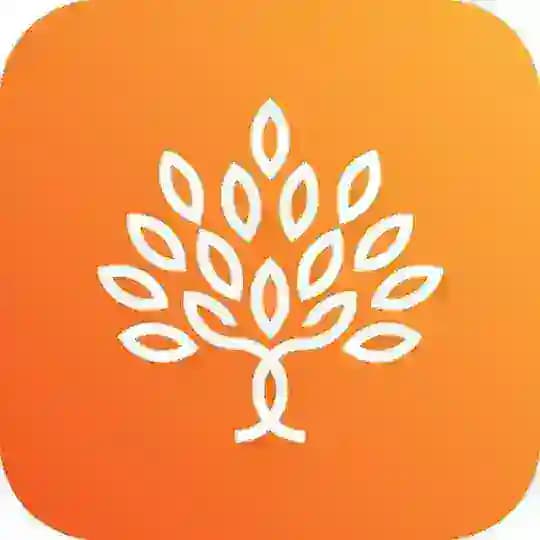 Снежинские сады Profile