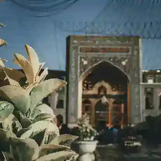 🇹🇷SÖHBƏT AZE🇹🇷 Profile