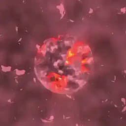 SOHBET FİLOSU Profile