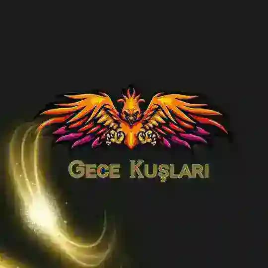 Gᴇᴄᴇ Kᴜꜱ̧ʟᴀʀı Profile