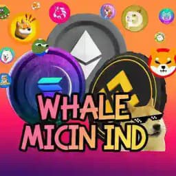 SOLANA WHALE INDONESIA 🐳🐬 Profile