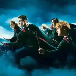 Lise 1 grubu Profile