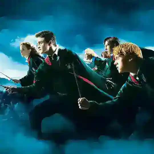 Lise 1 grubu Profile