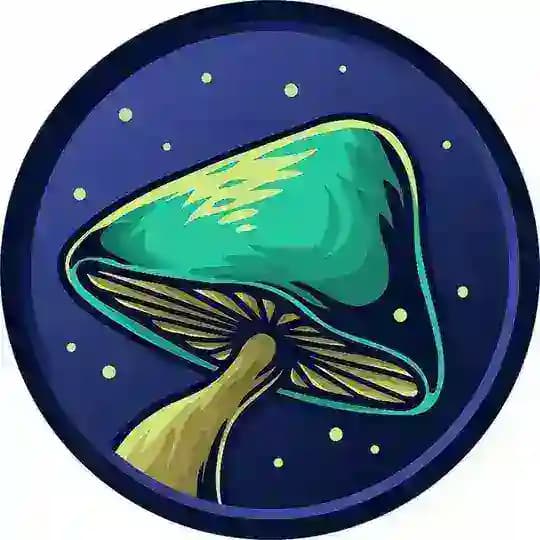 SPORE FRANCE 🇫🇷 Profile