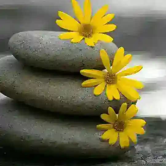 ❤كروب عطر الشام ❤ Profile