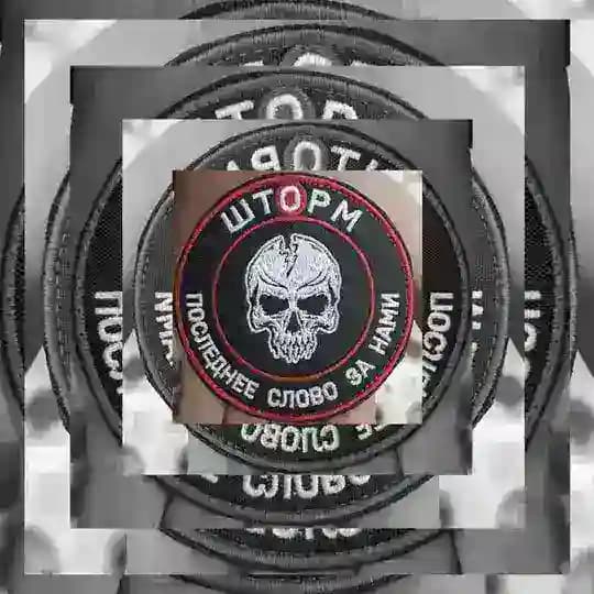 🇷🇺 СВО ШТОРМ V - ПОСЛЕДНЕЕ СЛОВО ЗА НАМИ 🇷🇺🫡🫡🫡 Profile