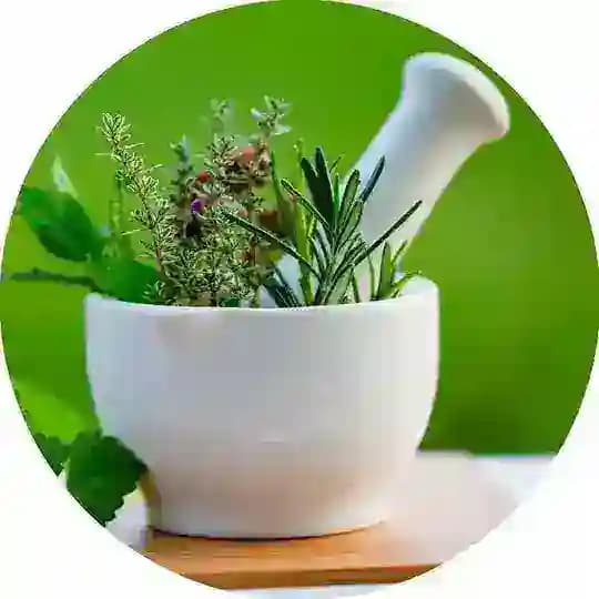 🌿 Тиббий китоблар ☘️ Profile