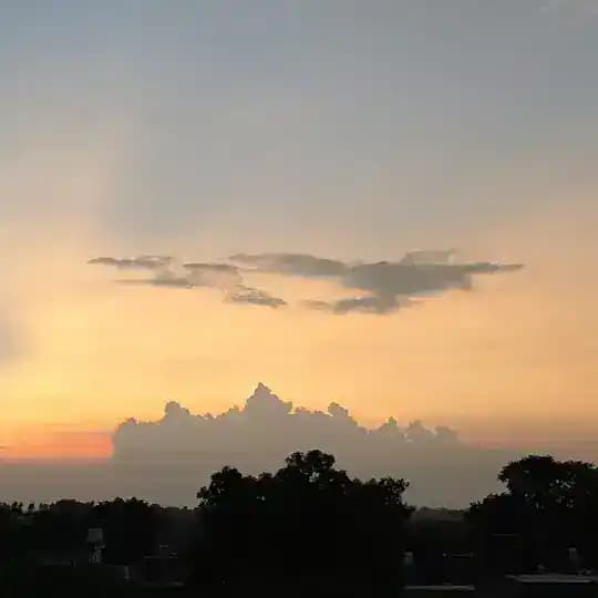 "Let's Talk" Profile