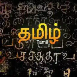 Tamil Chat 🕊 Profile