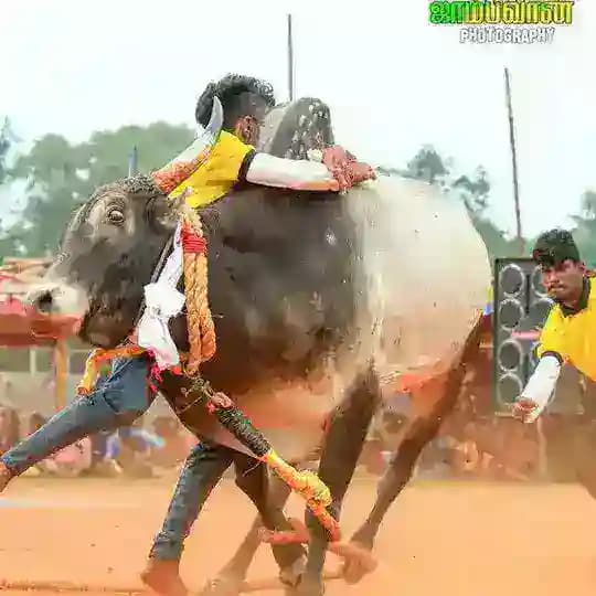 ((வருத்தப்படாத வாலிபர் சங்கம்...)) 🤣✧(≖ ◡ ≖✿) Profile