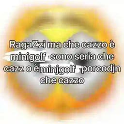 Matera calcio a 4 Profile