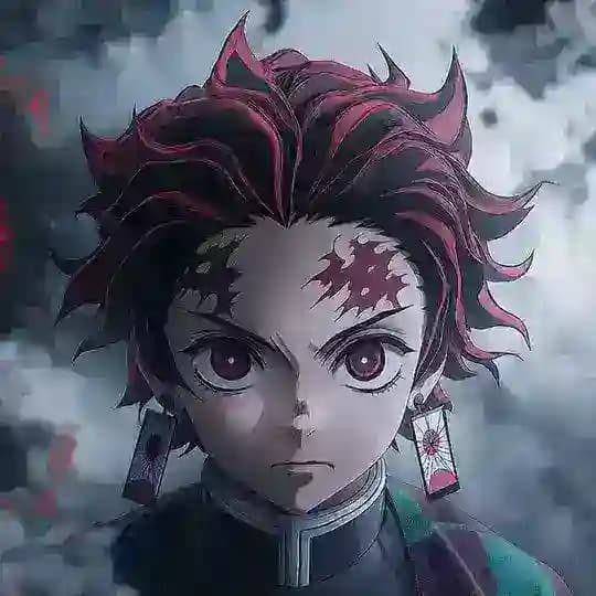 Tanjiro is life𓃵 Profile