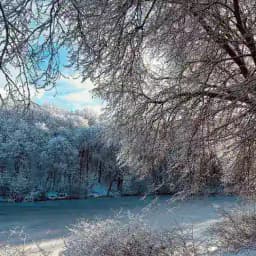 Жизнь Таврово 🇷🇺 Profile