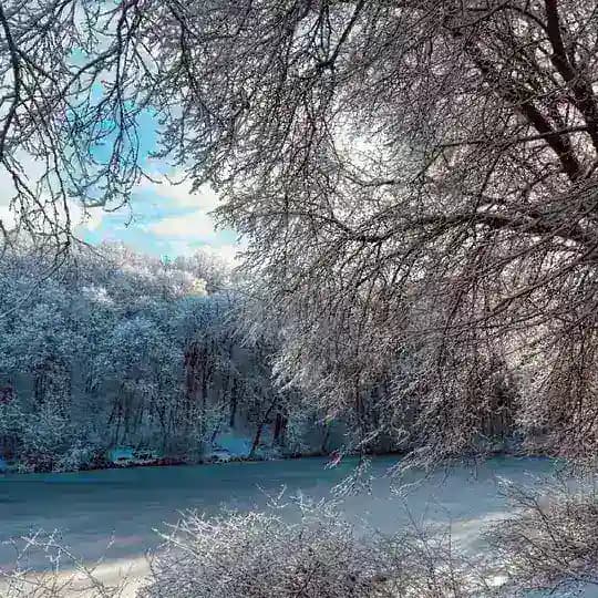 Жизнь Таврово 🇷🇺 Profile