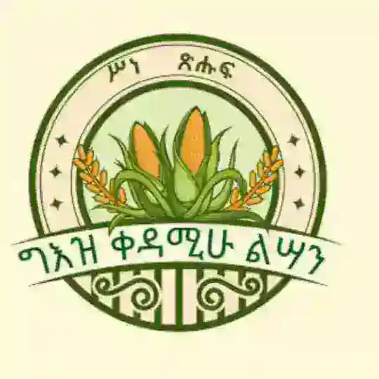 Geez &English Profile