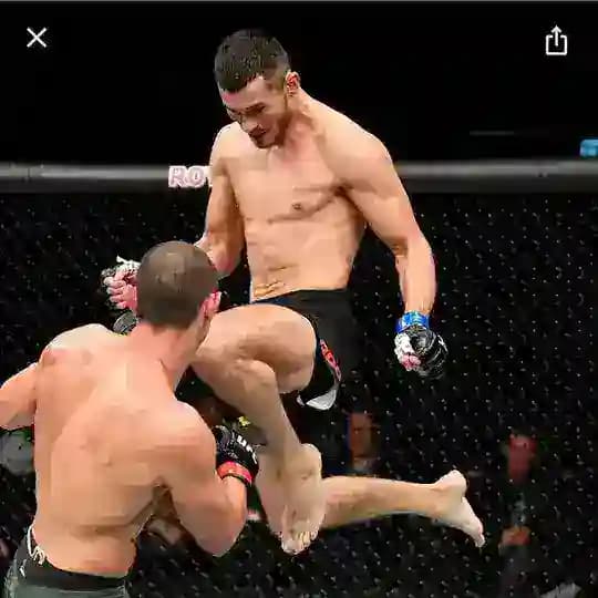 POKER LEGENDA UZ ViP Profile