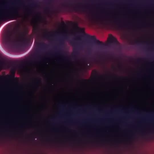 𝐒𝐨𝐧 𝐗𝐞𝐛𝐞𝐫𝐥𝐞𝐫 Profile