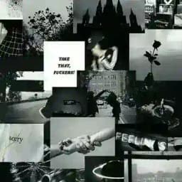 Bende kurduuğm😂 Profile