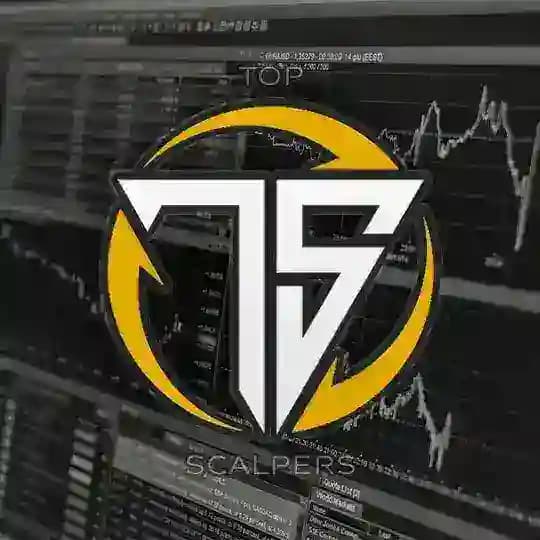 TOP SCALPERS ⚡️ Profile