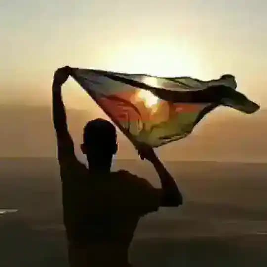 Tovuz söhbət qrupu Profile