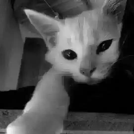 MONEY FREE ! Profile