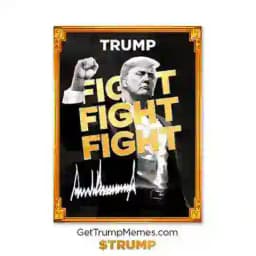 TRUMP COİN TÜRKİYE Profile