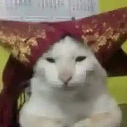 UCUP GENK (perkumpulan bumbu racik gore) Profile