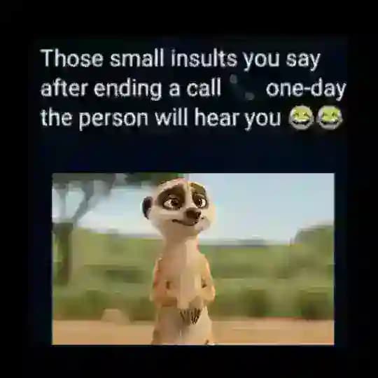 Team no stress😂😂🤣 Profile