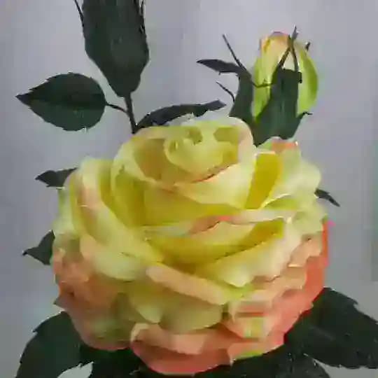 UNIVERSAL GIFT SHOP Profile