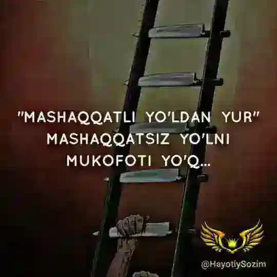 ✿ DO'STLIK MEHR OQIBAT ✿ Profile