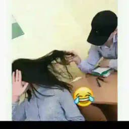 ㅤㅤㅤㅤʟᴀᴄᴏsᴛᴇ 🐊 Profile