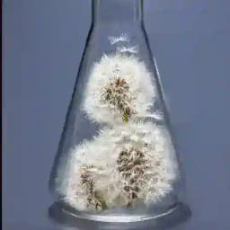 User Crypto Indonesia Profile