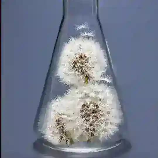 User Crypto Indonesia Profile