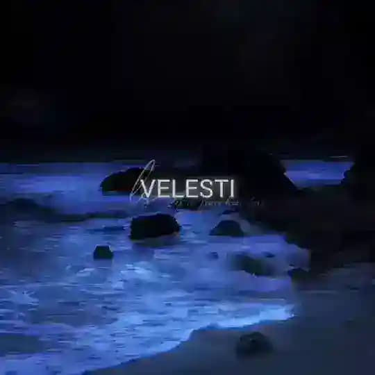 ‌ ‌ ‌ ‌ ‌ ‌‌‌vełestı Profile